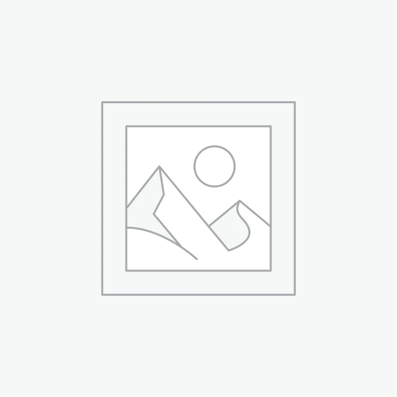 اجاق گاز برقی کن مدل CC2202